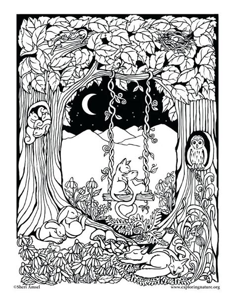 Find Calmness and Relaxation with Magical Forest Coloring Pages